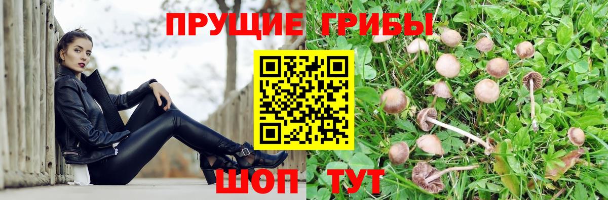 Галлюциногенные грибы Magic Shrooms Дмитров